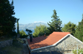 Secluded fisherman's cottage Cove Vela Lozna, Brac - 13332